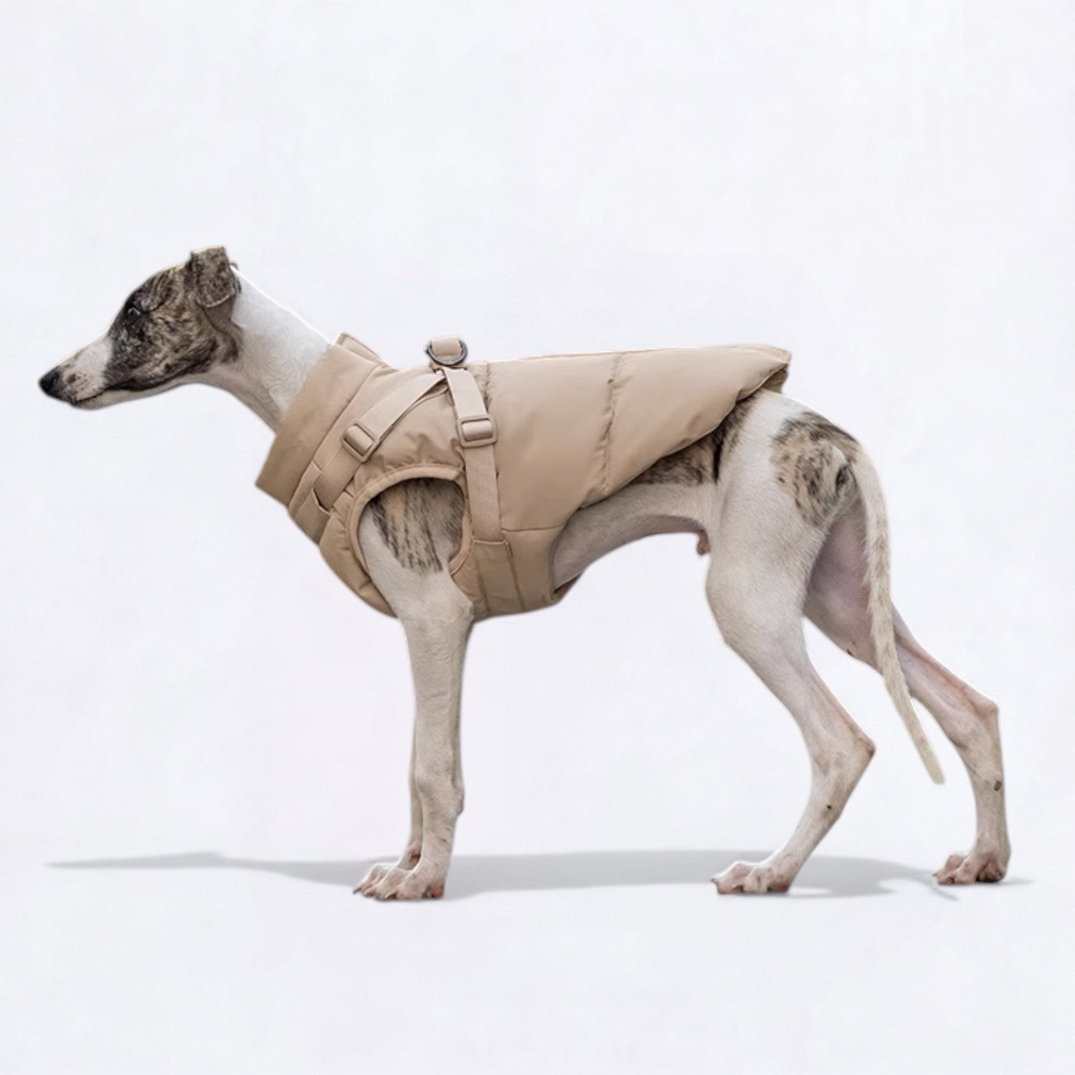 Warm-Winter-Dog-Harness-Jacket.jpg
