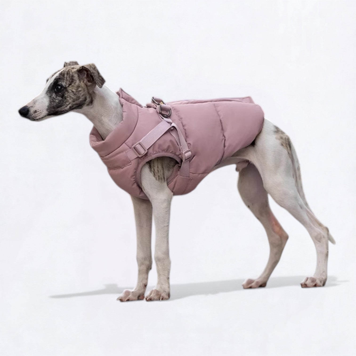 Warm-Winter-Dog-Harness-Jacket.jpg