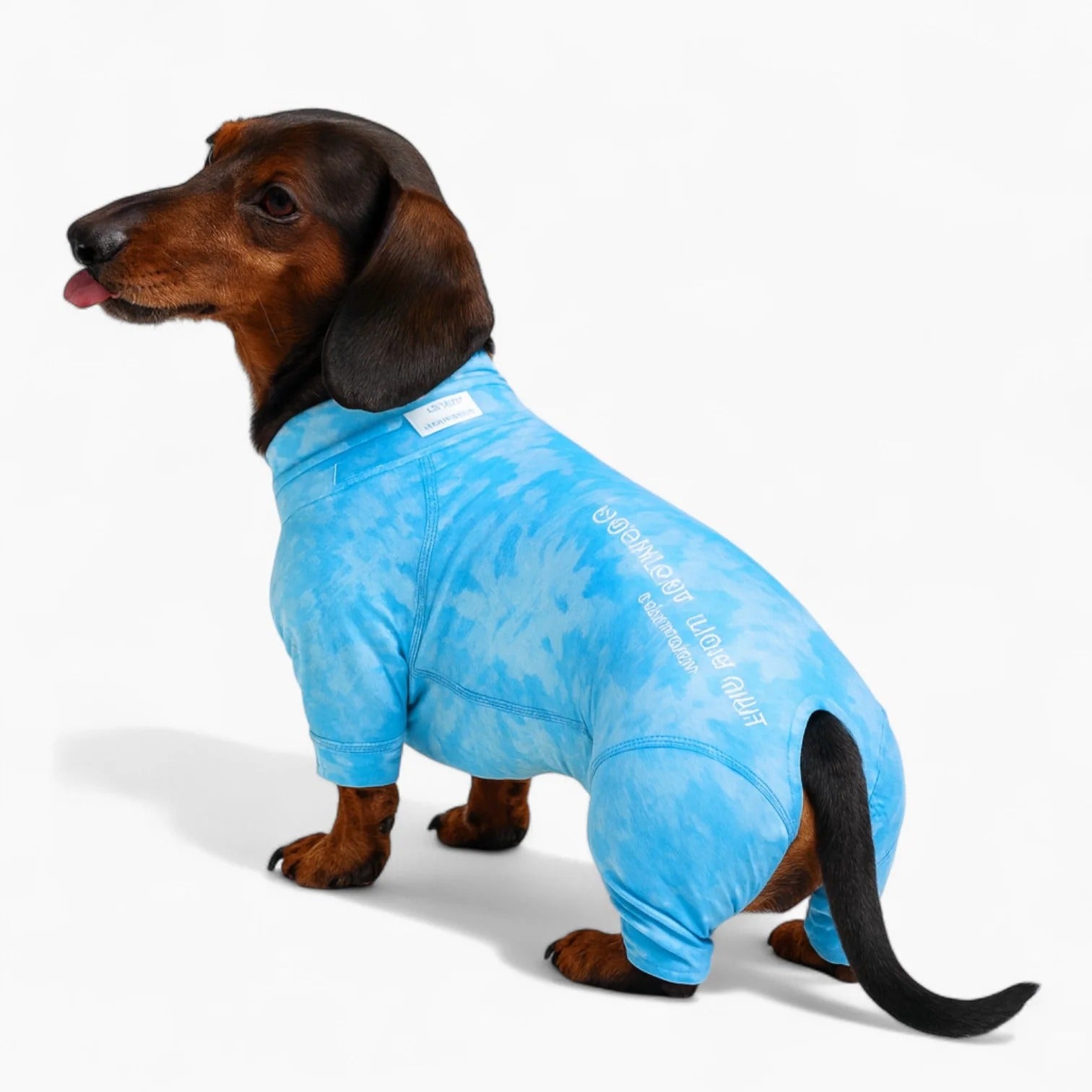Water-Repellent-Dog-Pajamas.jpg