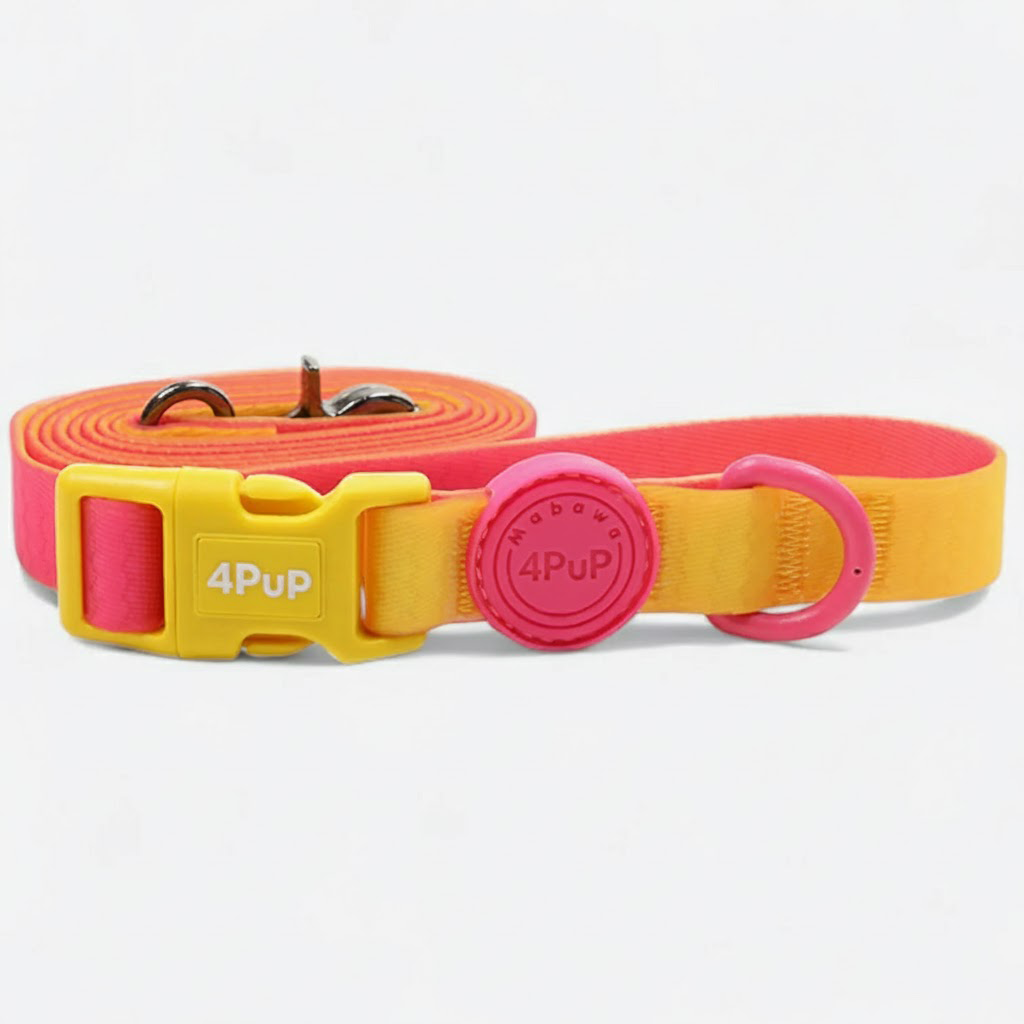 Waterproof Anti-Fouling Dog Leash