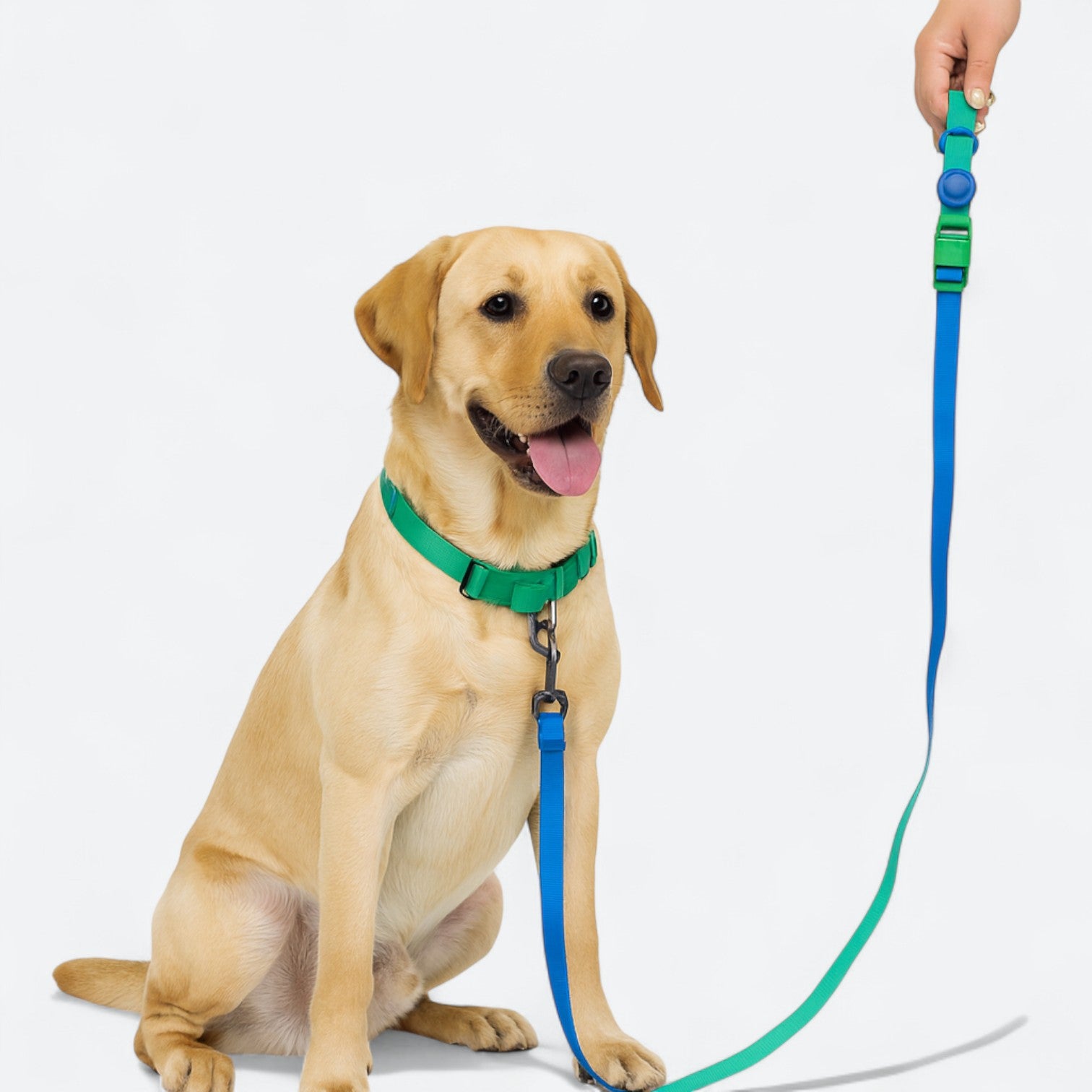 Waterproof Anti-Fouling Dog Leash for All Breeds