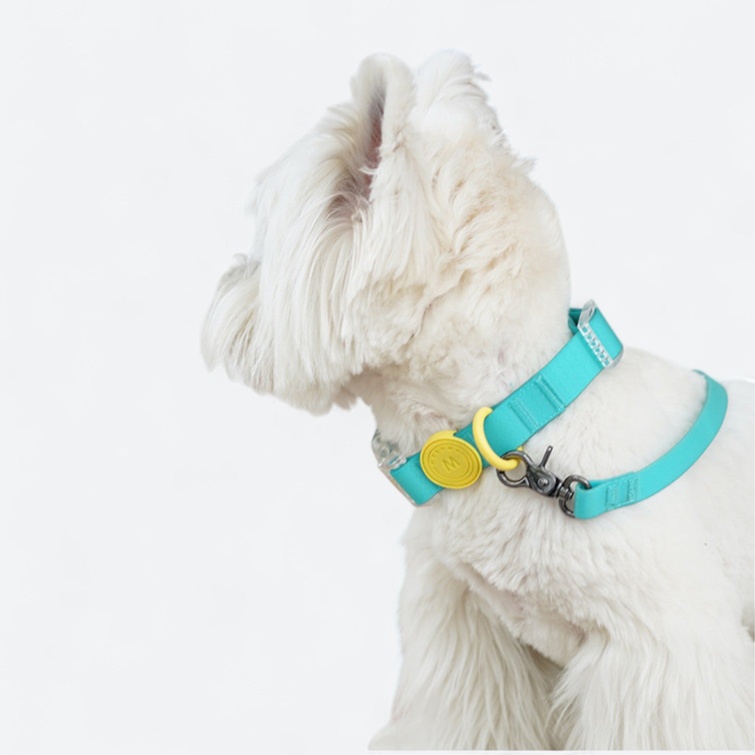 Waterproof-Dog-Collar-Leash-Set.jpg