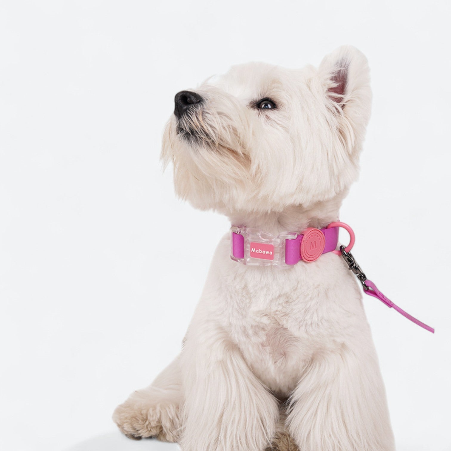 Waterproof-Dog-Collar-Leash-Set.jpg