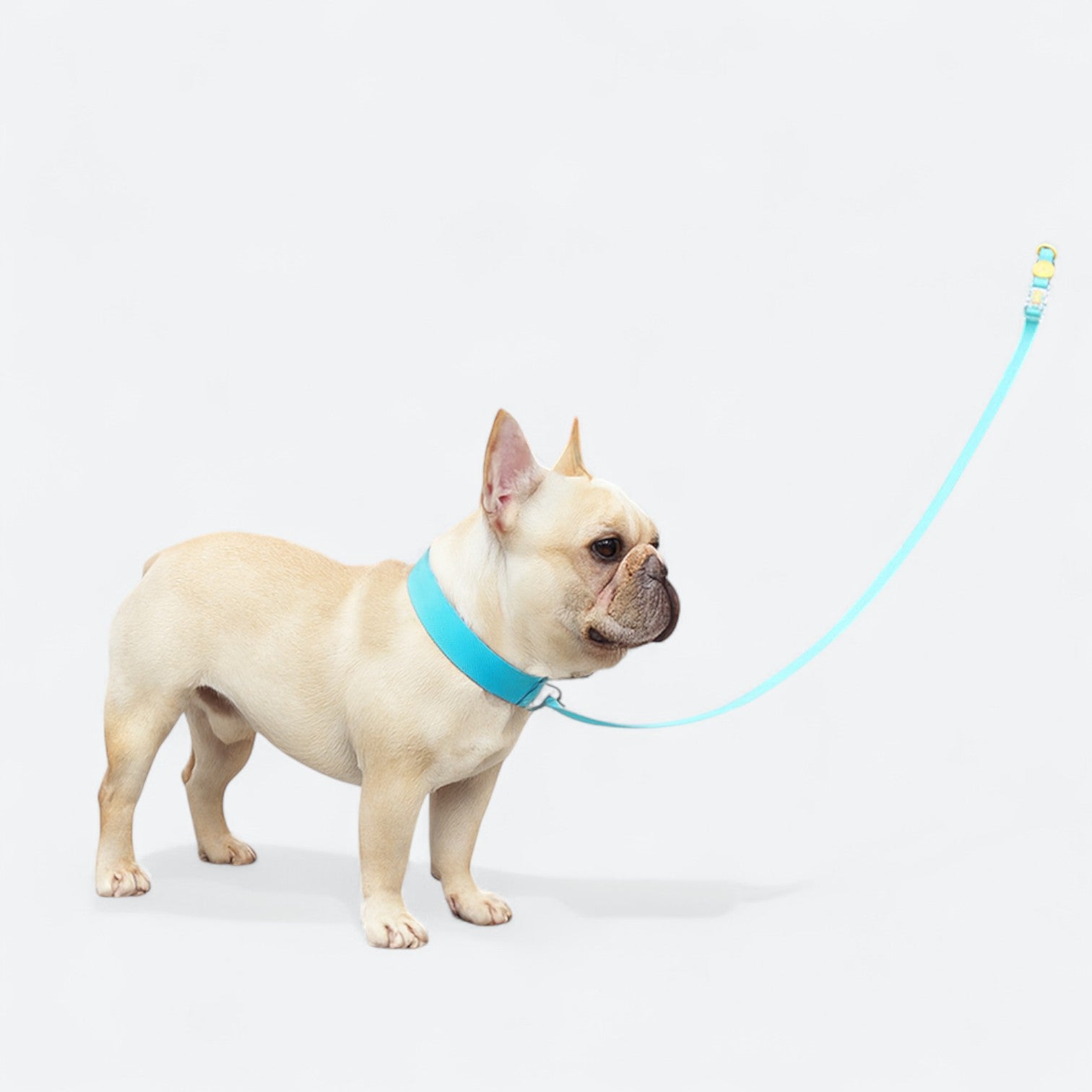 Waterproof-Dog-Collar-Leash-Set.jpg