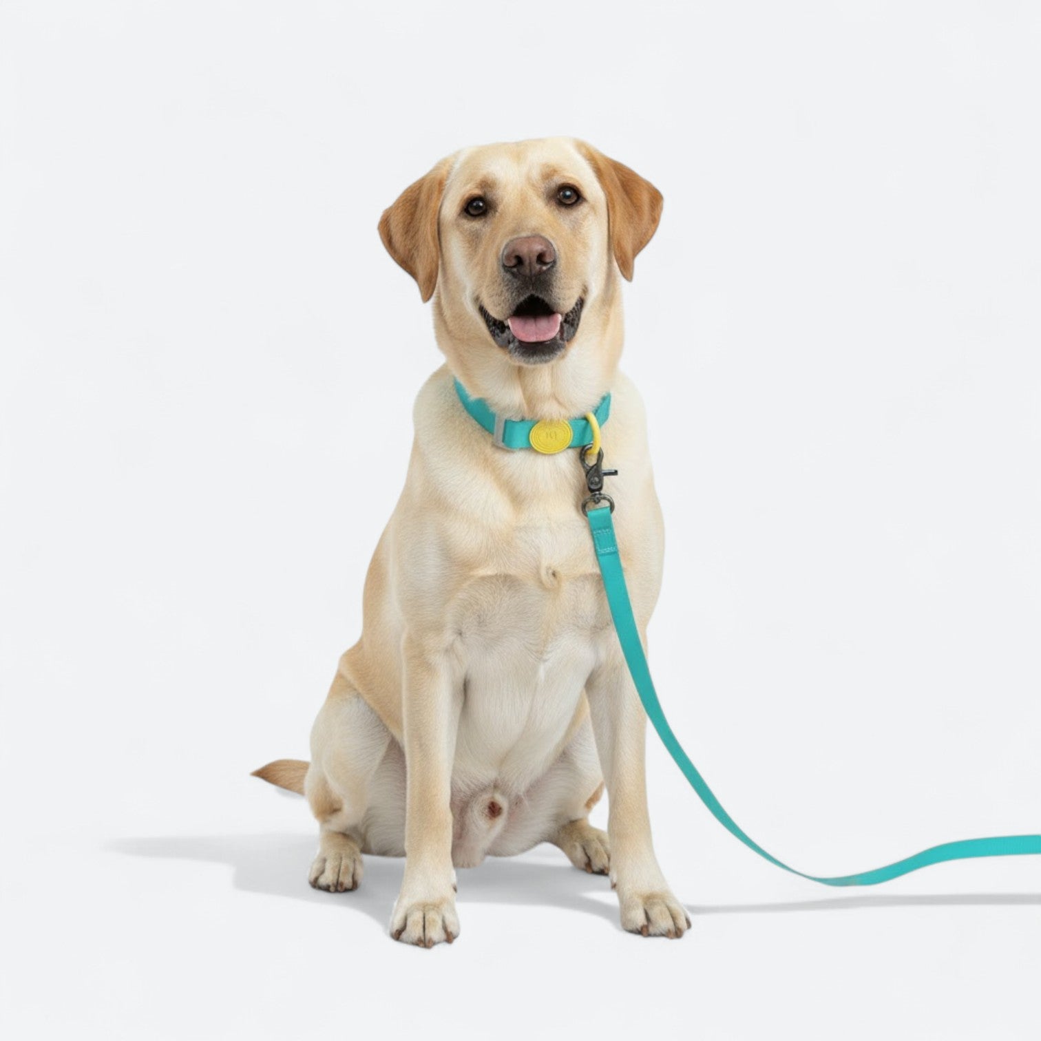 Waterproof-Dog-Collar-Leash-Set.jpg