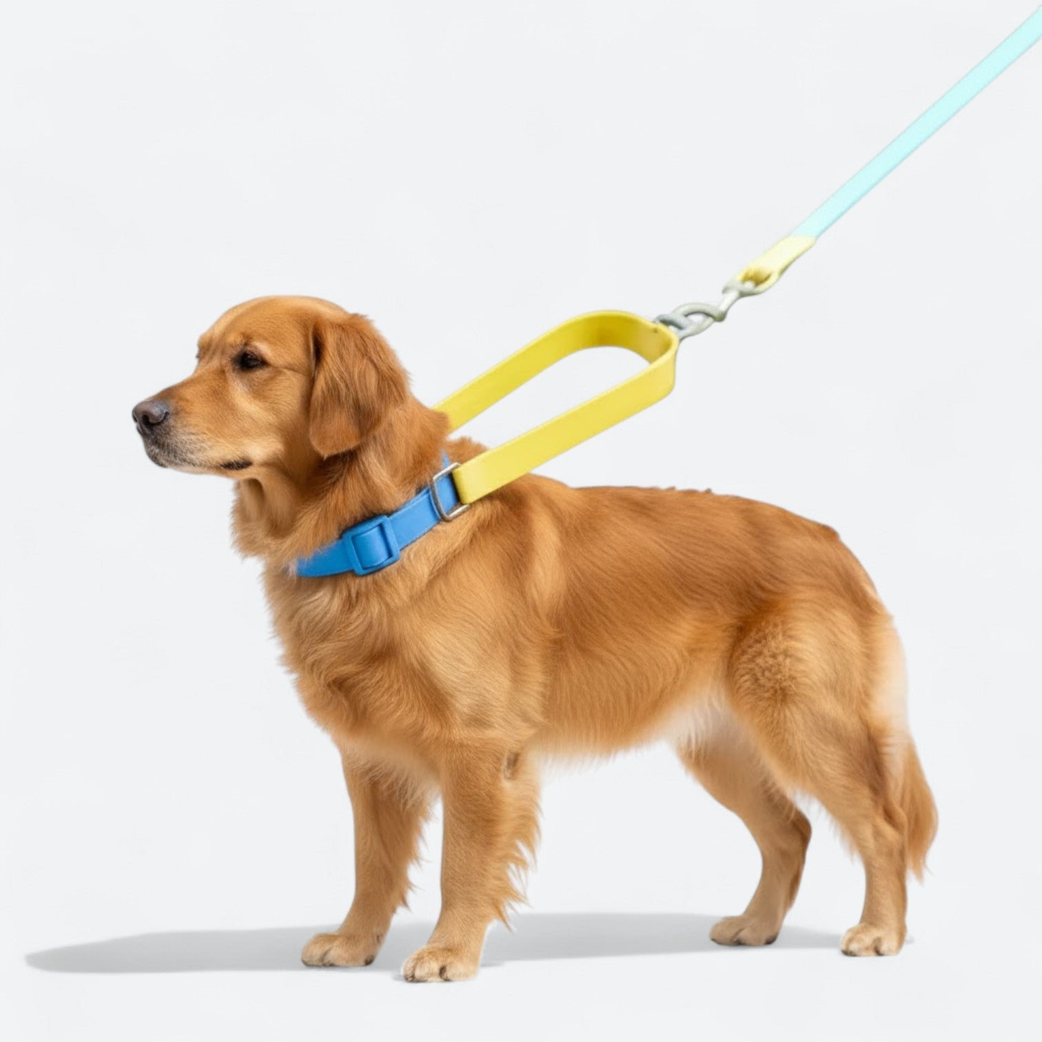 Waterproof-PVC-Dog-Collar-Leash-Set.jpg