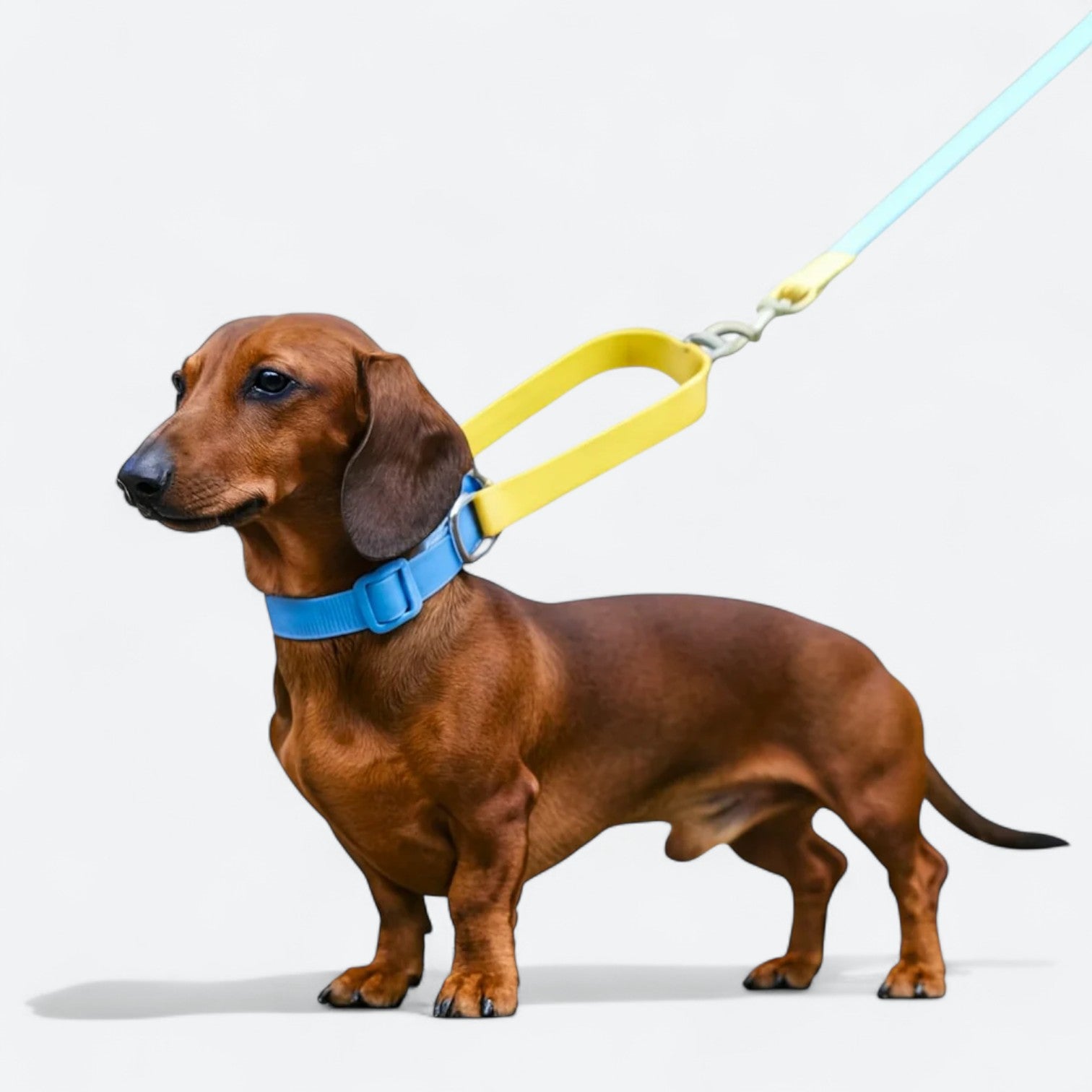 Waterproof-PVC-Dog-Collar-Leash-Set.jpg
