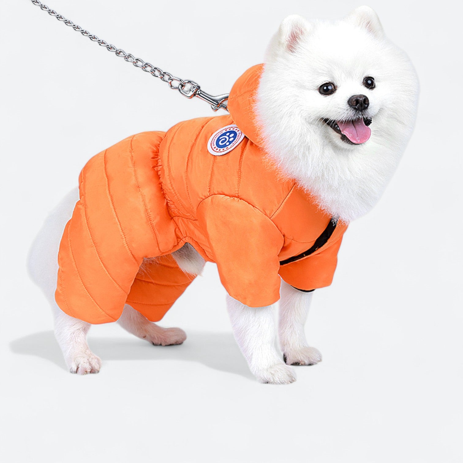 Waterproof-Winter-Dog-Coat.jpg