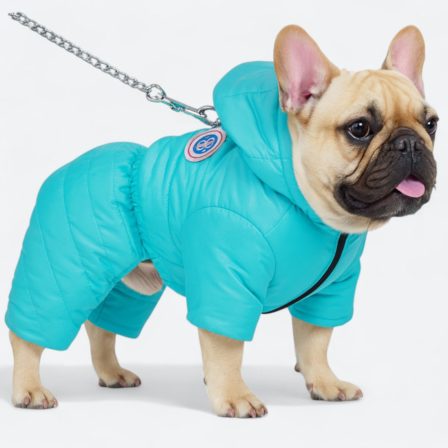 Waterproof-Winter-Dog-Coat.jpg