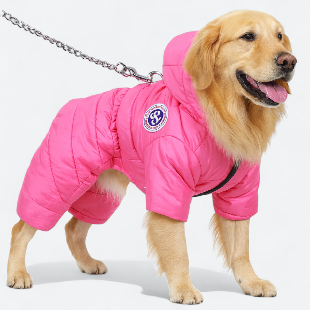Dog wearing a waterproof winter coat