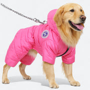 Dog wearing a waterproof winter coat