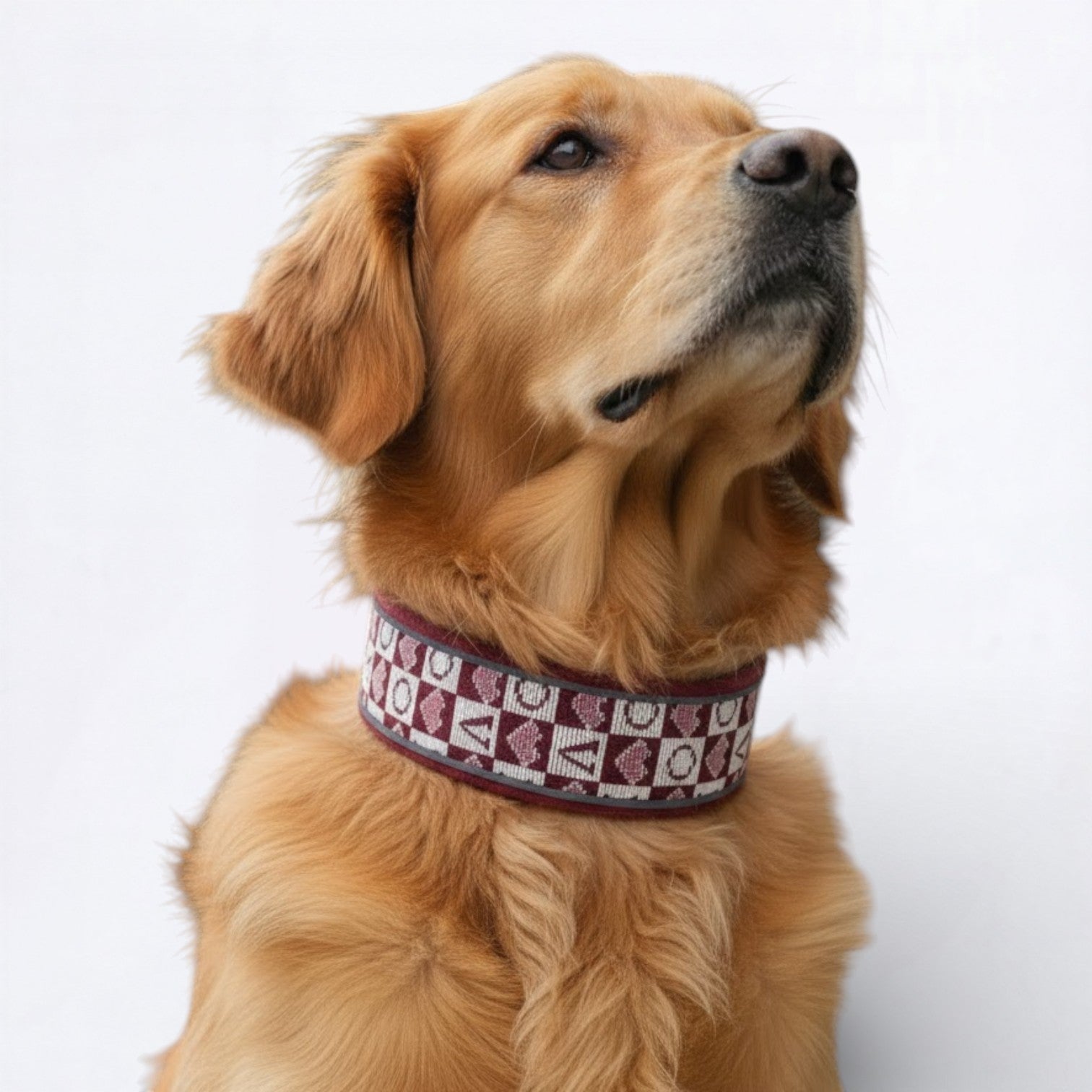 Wide-Reflective-Dog-Collar.jpg