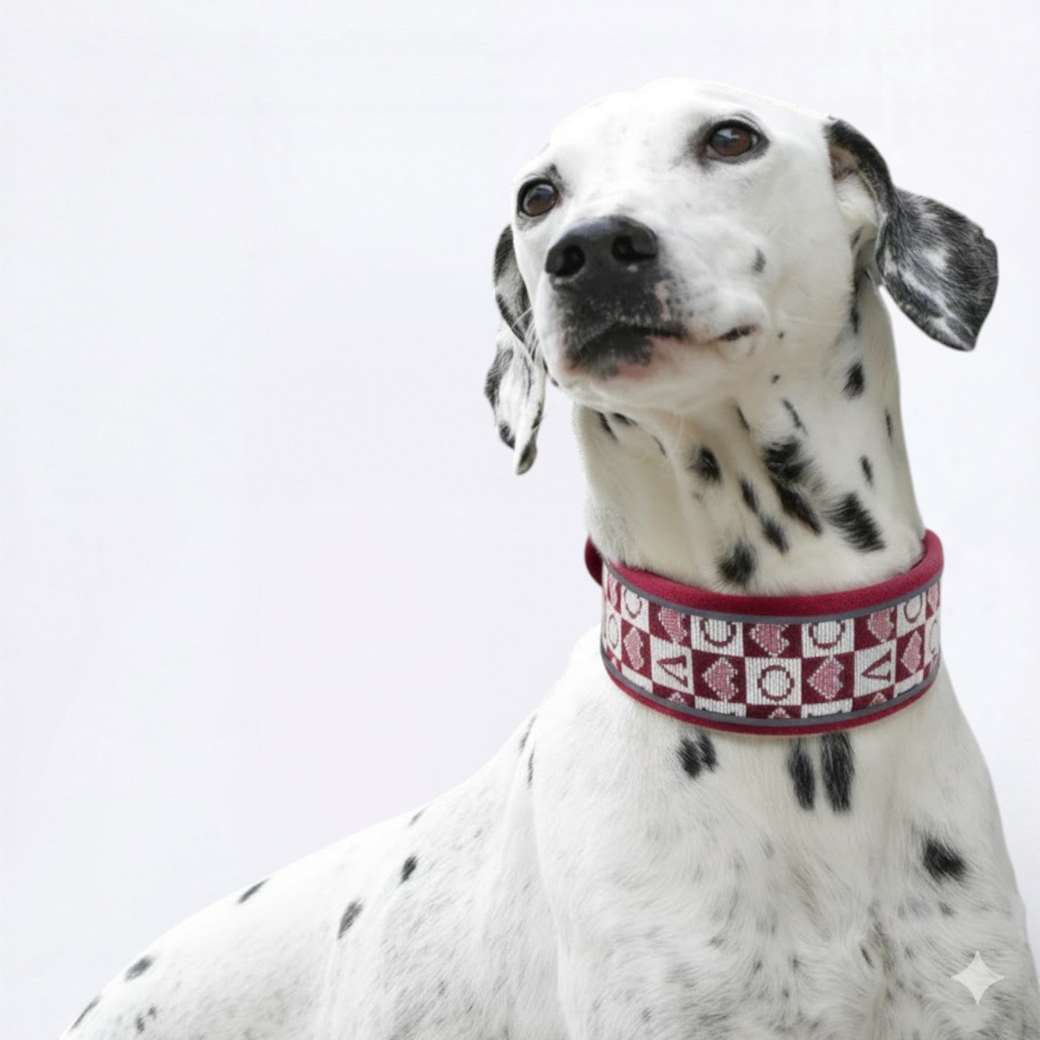 Wide-Reflective-Dog-Collar.jpg