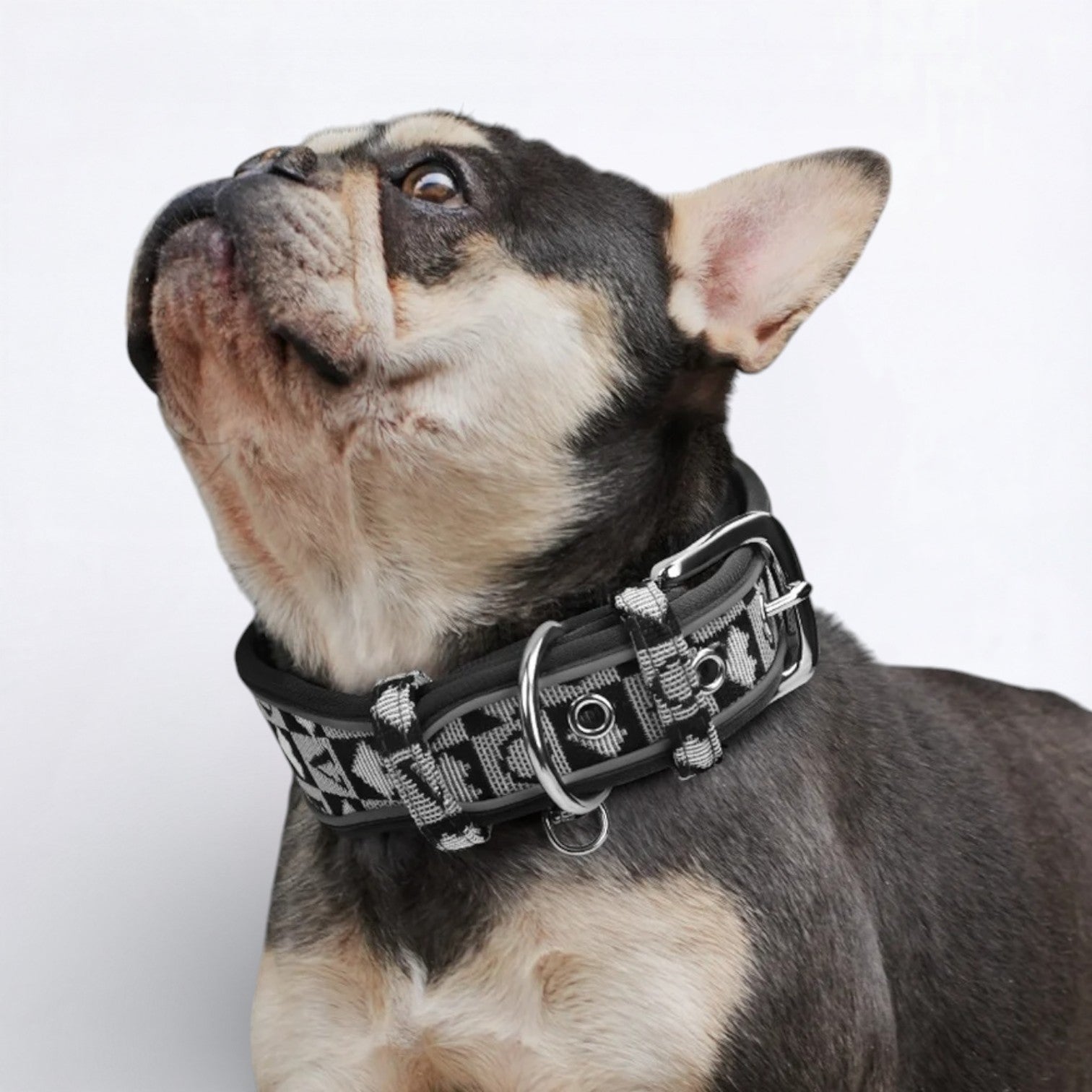 Wide-Reflective-Dog-Collar.jpg