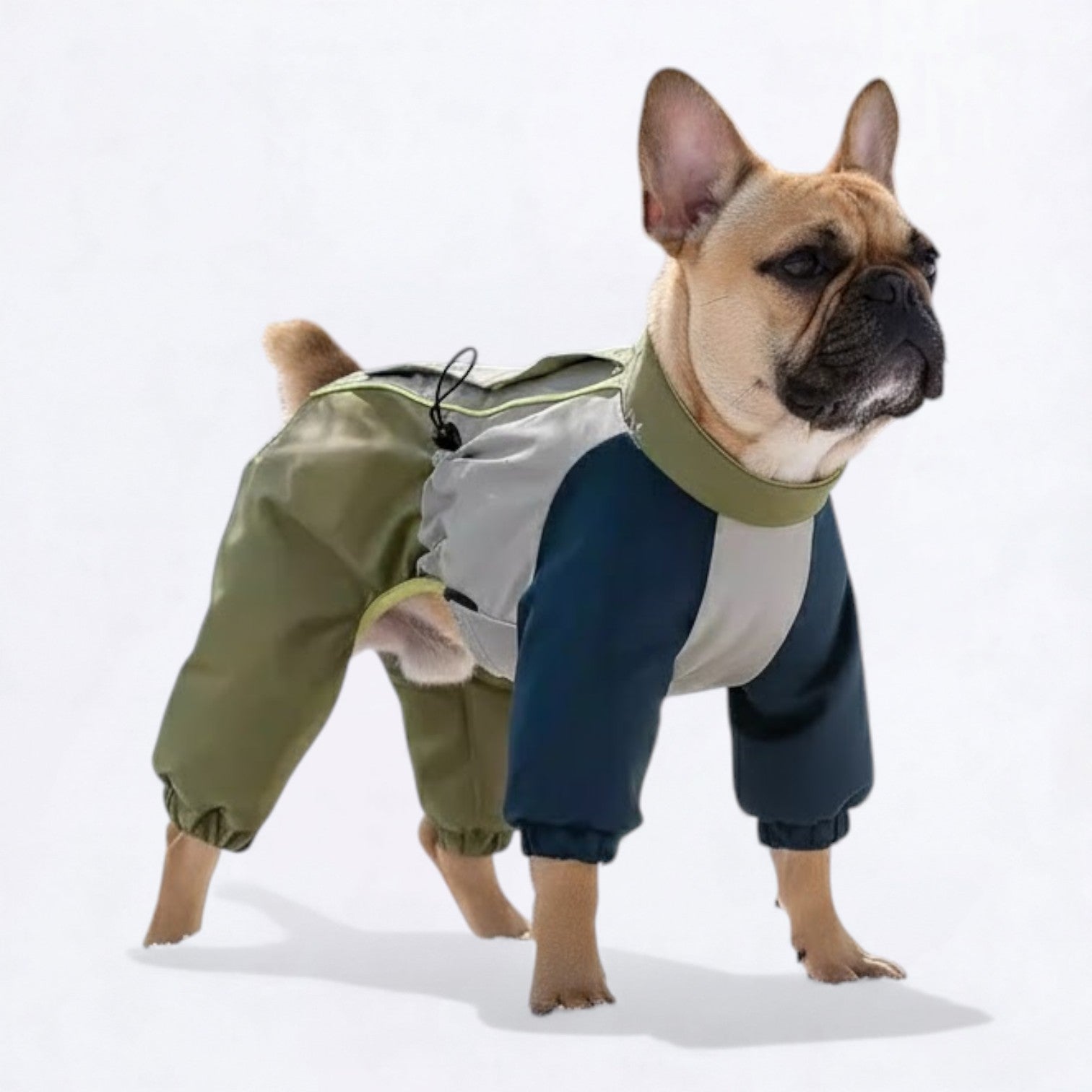 Windproof-Full-Body-Dog-Rain-Jacket.jpg
