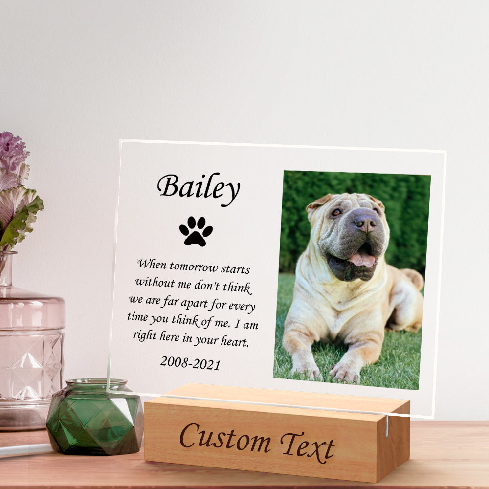 Personalized Dog Night Light – Custom Acrylic Lamp with Wooden Base