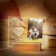 Personalized Dog Night Light – Custom Acrylic Plaque with Wooden Base