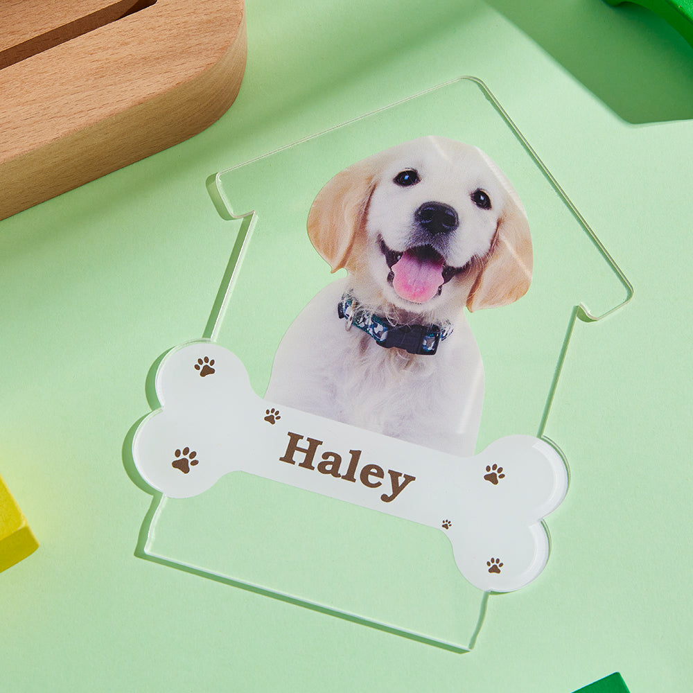 Personalized Dog Night Light – Custom Engraved Wooden Base Lamp