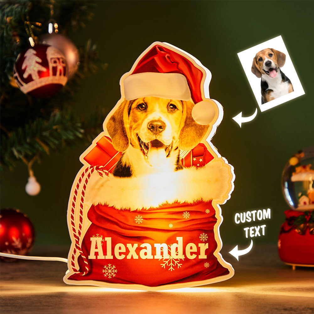 Custom Dog Night Light – Personalized Gift for Dog Lovers
