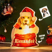 Custom Dog Night Light – Personalized Gift for Dog Lovers