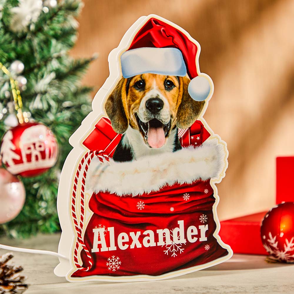 Custom Dog Night Light – Personalized Gift for Dog Lovers