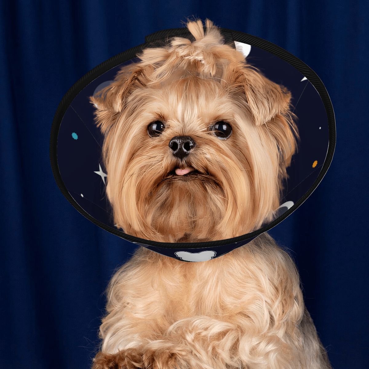 Lizy - Soft Dog Cone & Elizabethan Collar