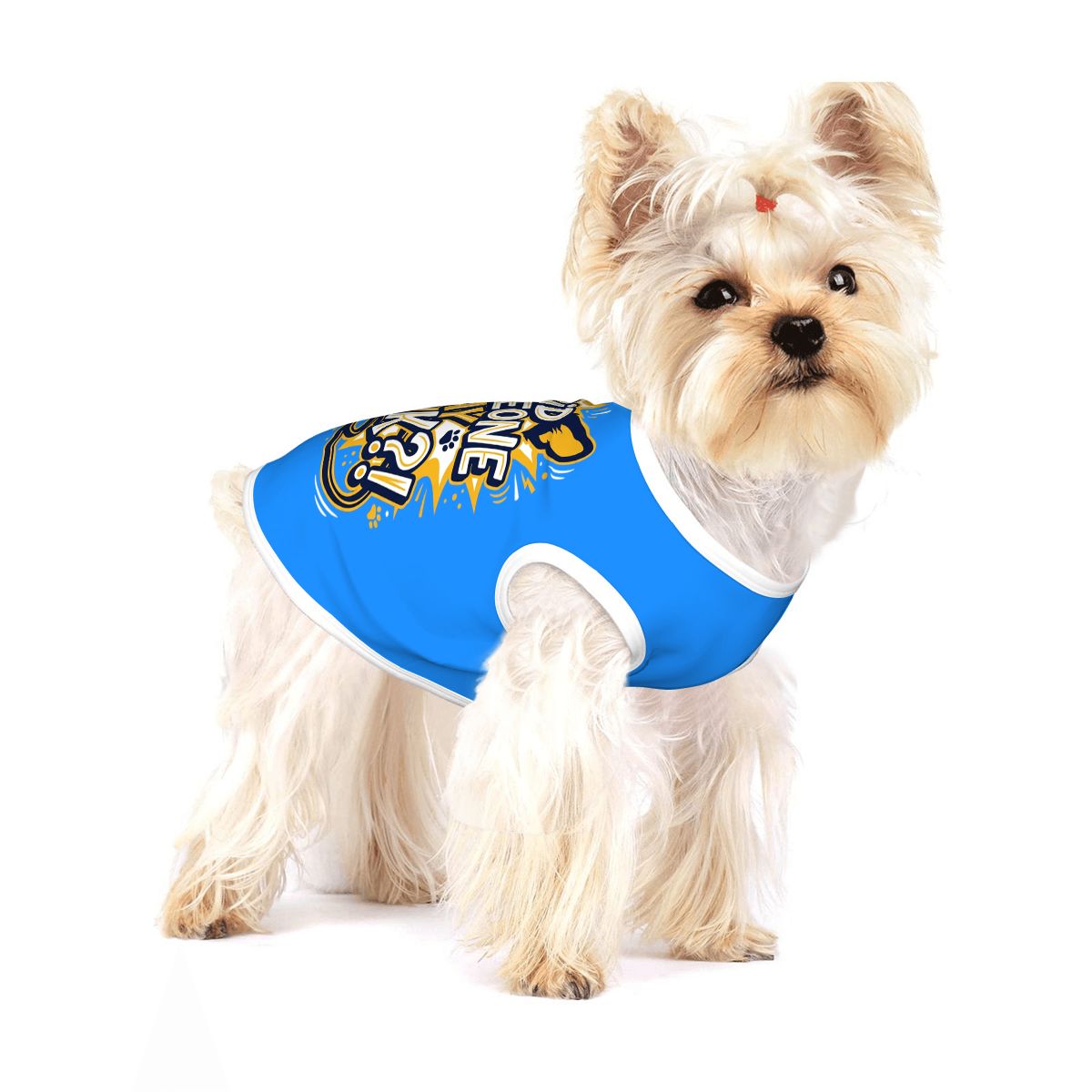 Did Someone Say Walk Small Dog Shirt
