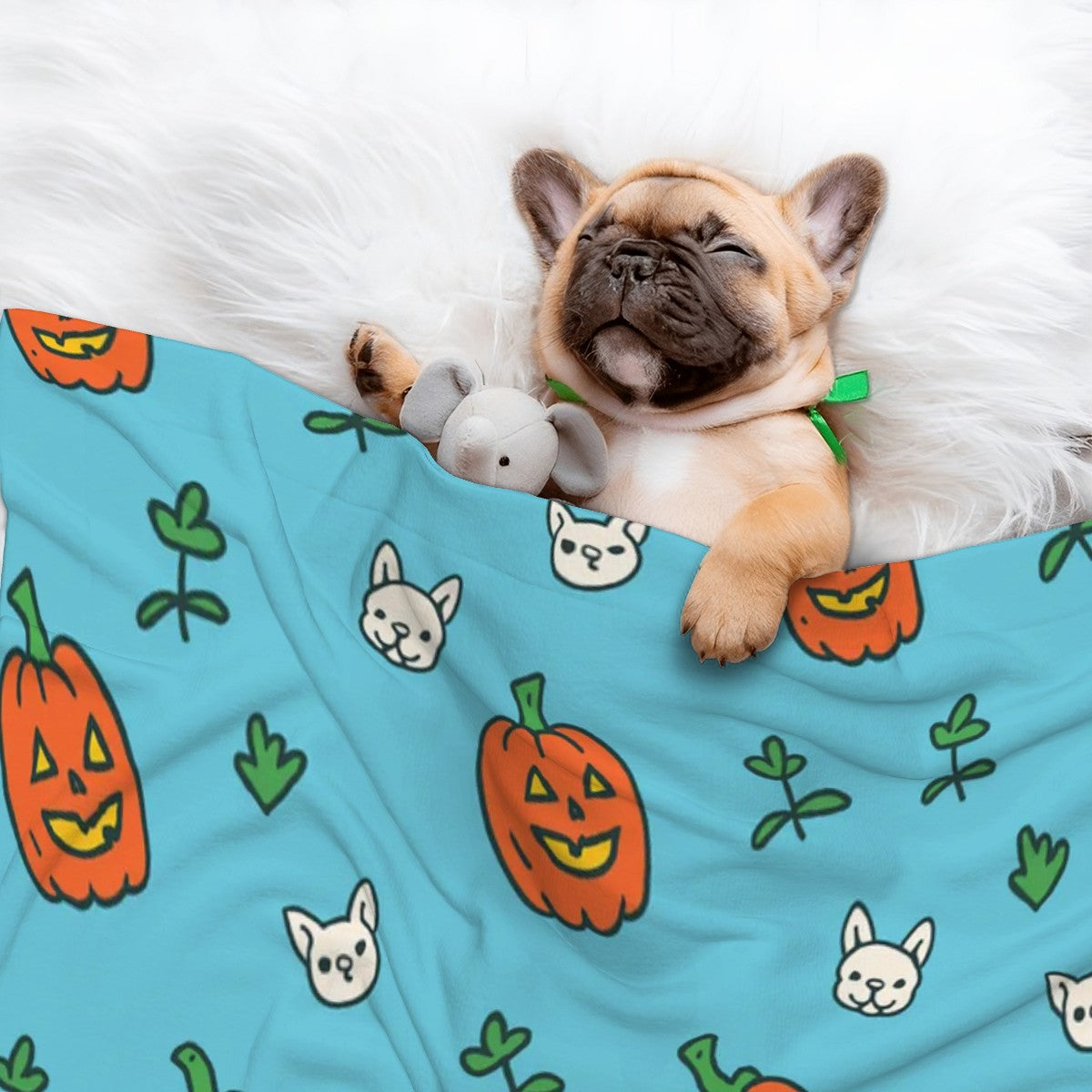 Cloey - Cozy Dog Blanket