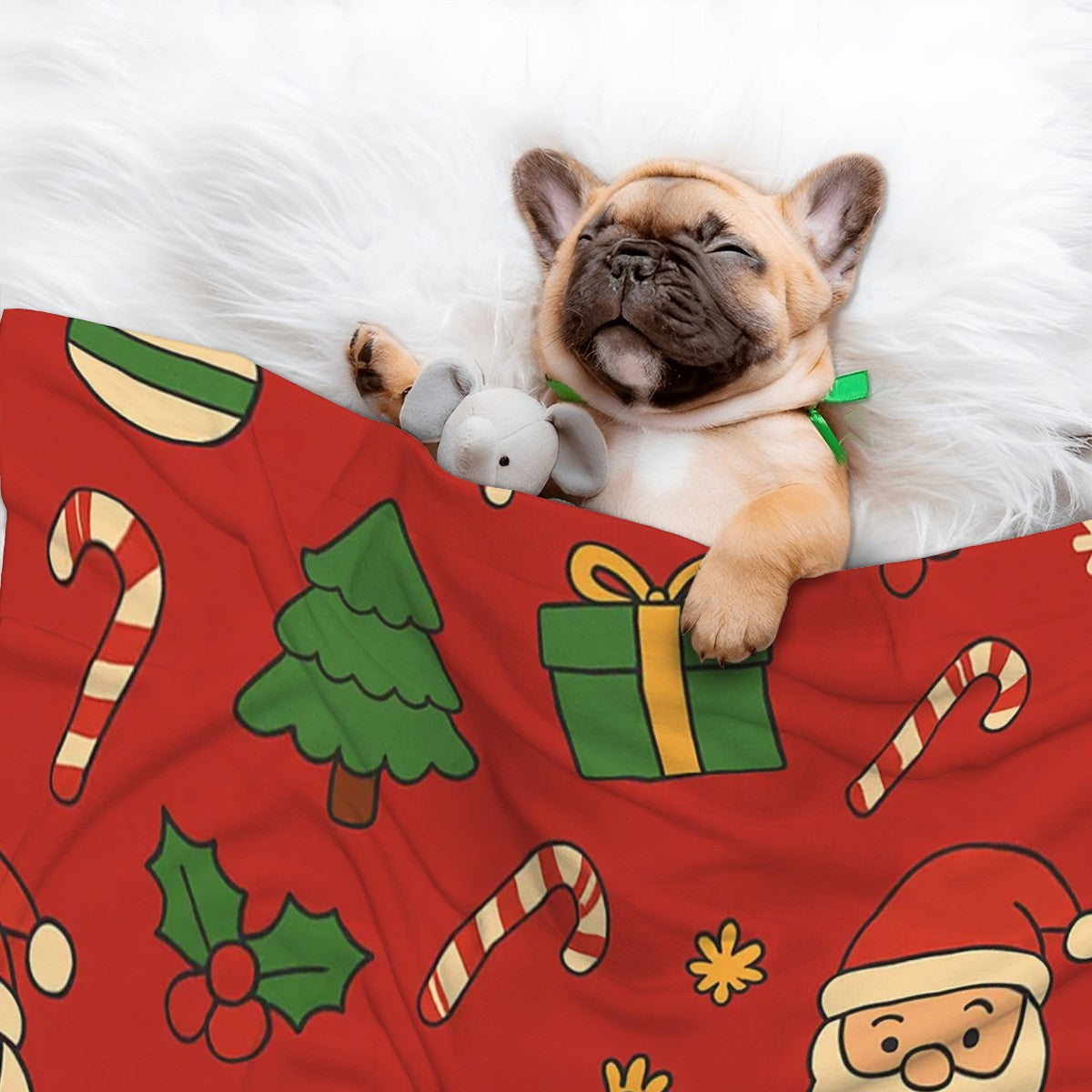 LULU - Cozy Dog Blanket