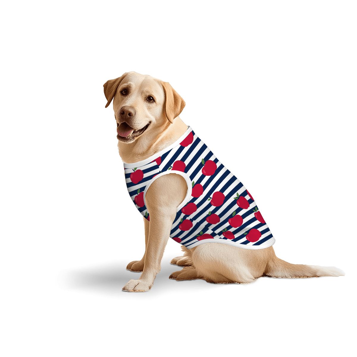 Red Apple Stripes Big Dog Shirt