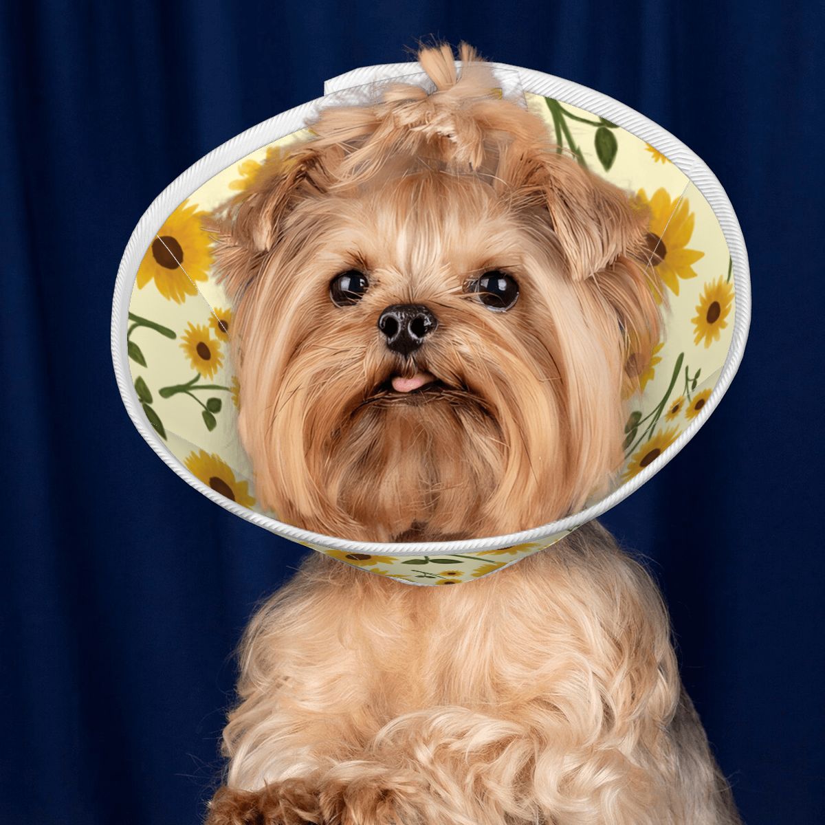 Chloe - Soft Dog Cone & Elizabethan Collar