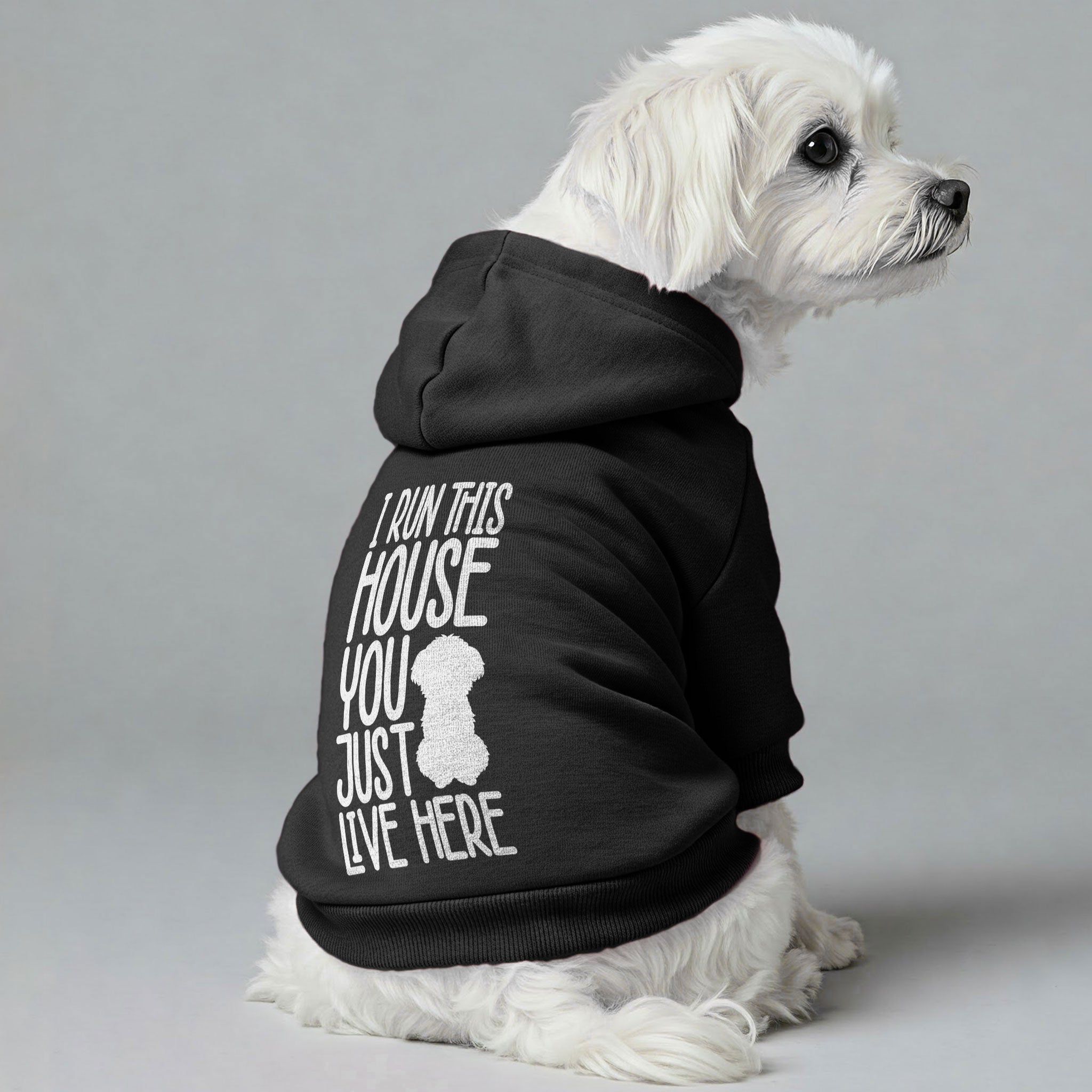 I run this house, you just live here – still cute  - Maltese Dog Hoodie