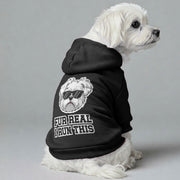 Maltese dog wearing a 'Fur Real, I Run This' hoodie