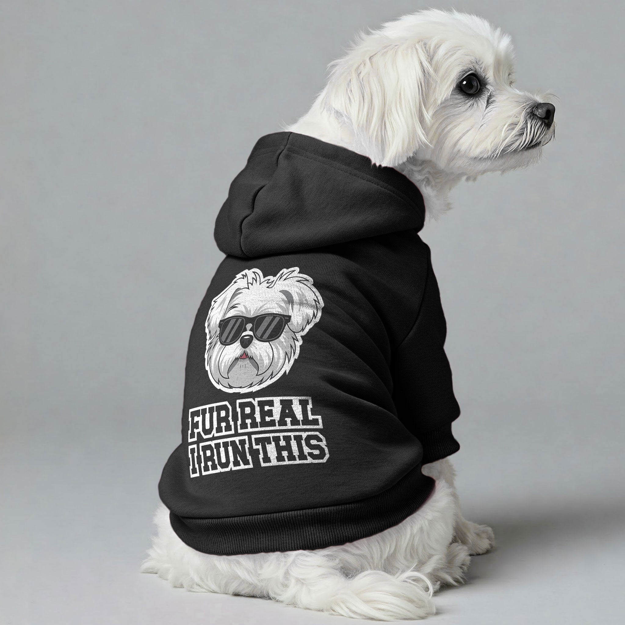 Fur Real, I Run This - Maltese Dog Hoodie