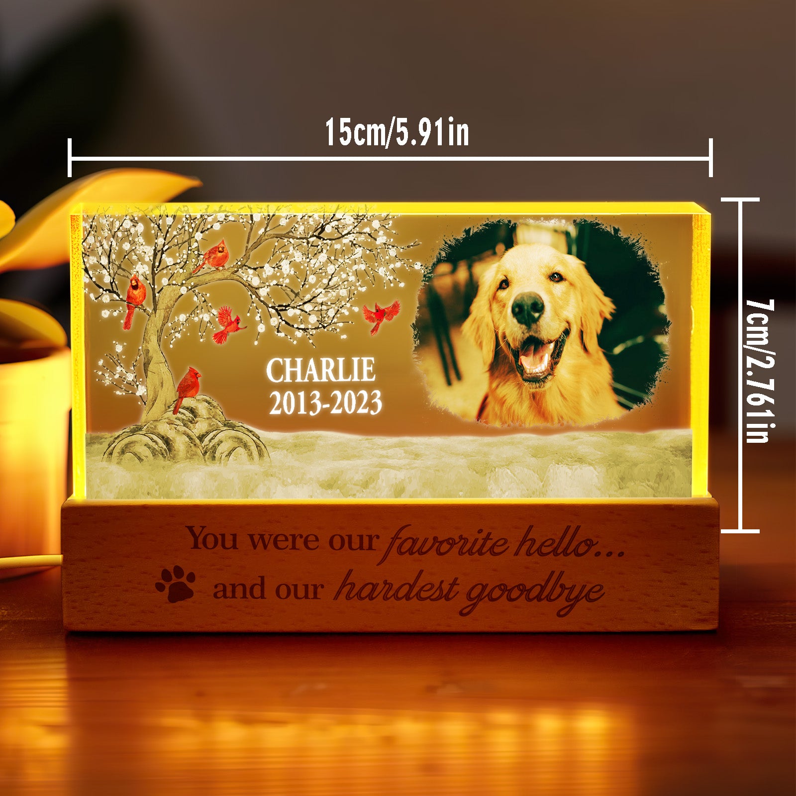 Personalized Dog Photo Night Light