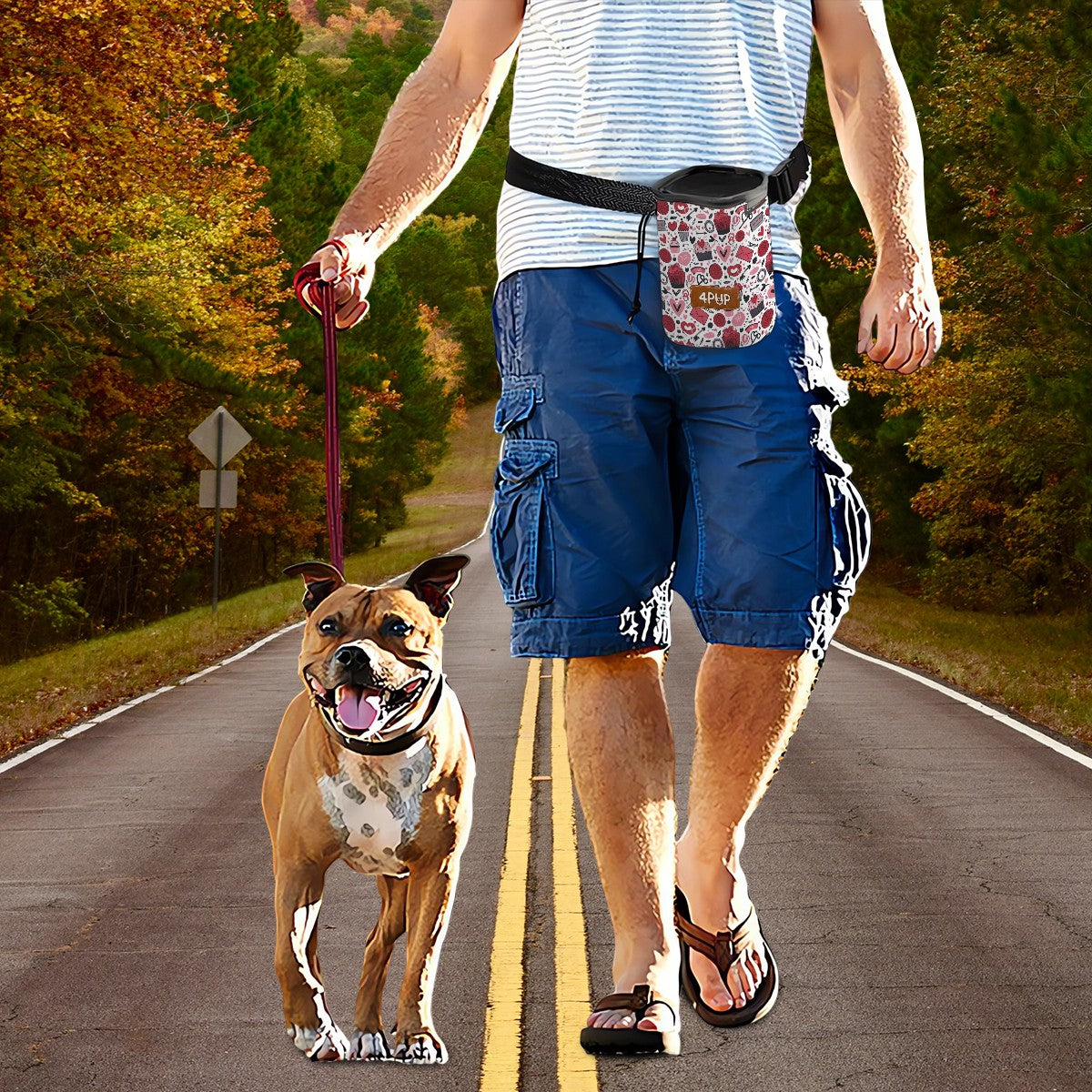 Roya  -  Dog Treat Pouch | Training Bag | Waist Clip | Bag Dispenser