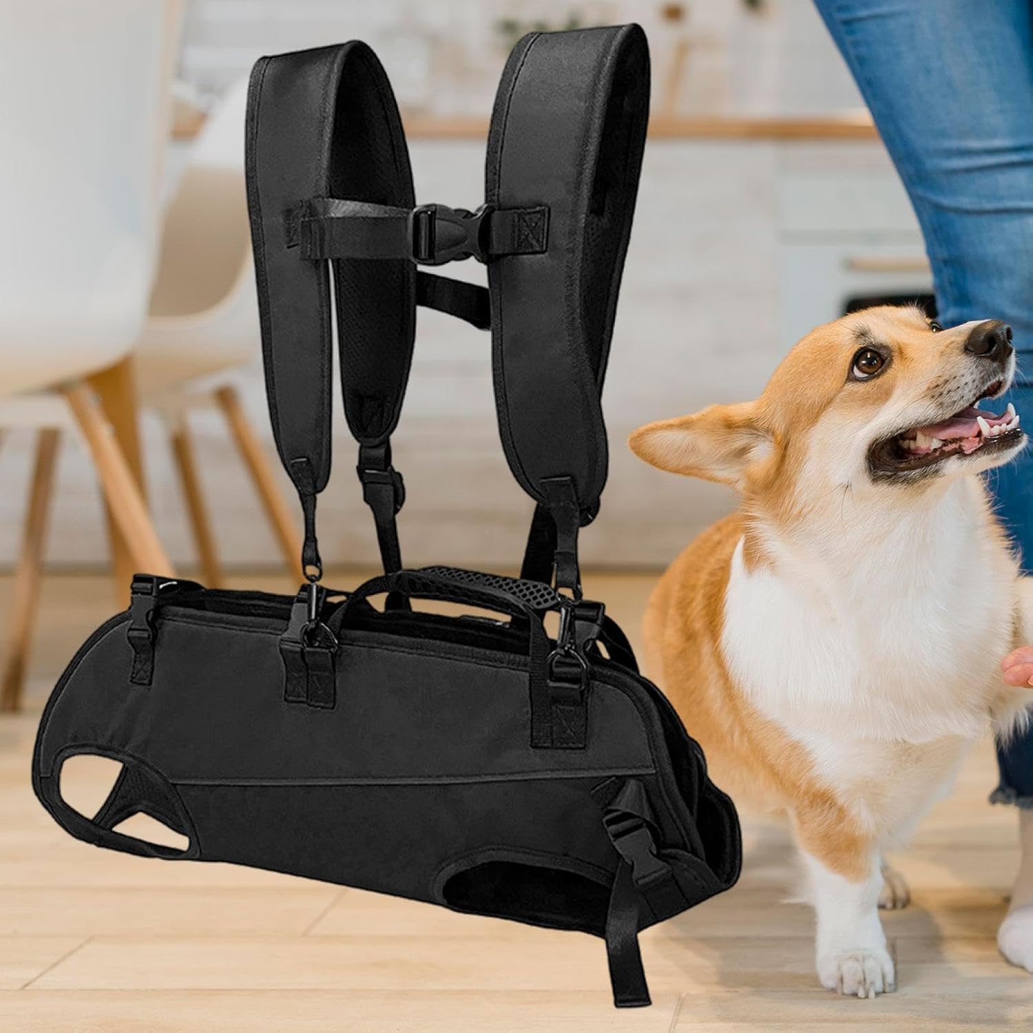 backpack dog carrier