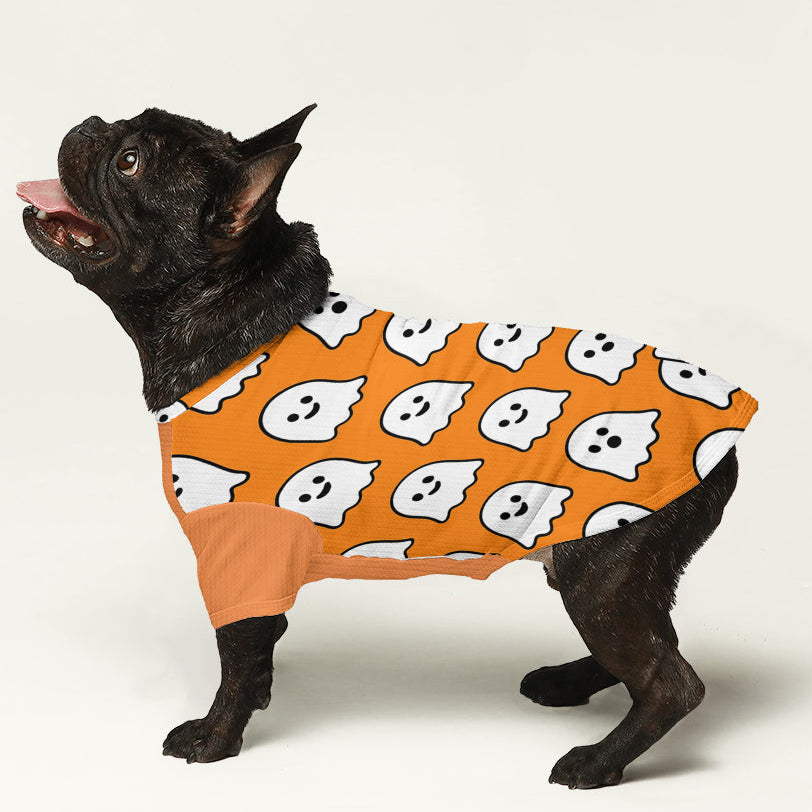 Repper - Dog Wool  Sweater