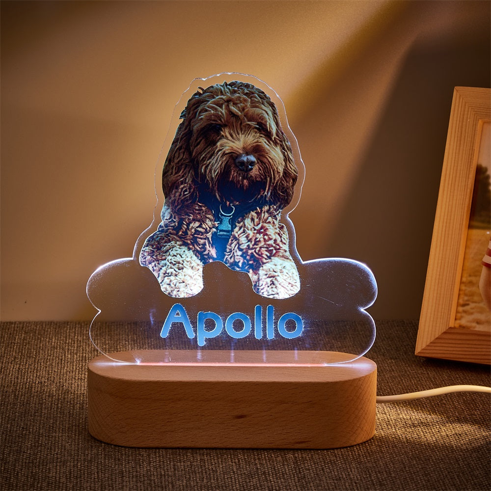 Custom Dog Night Light – Bone-Shaped Acrylic Plaque with LED Base