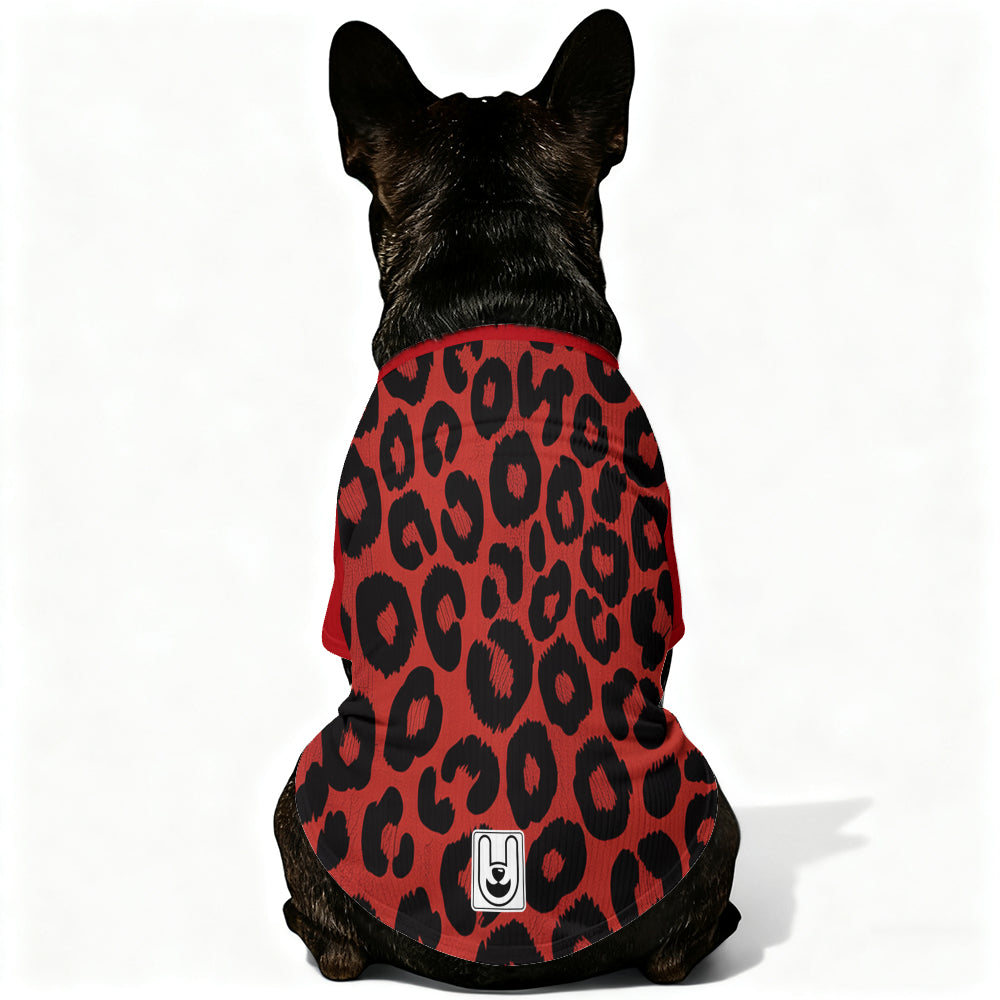 Solo - Dog Wool Sweater