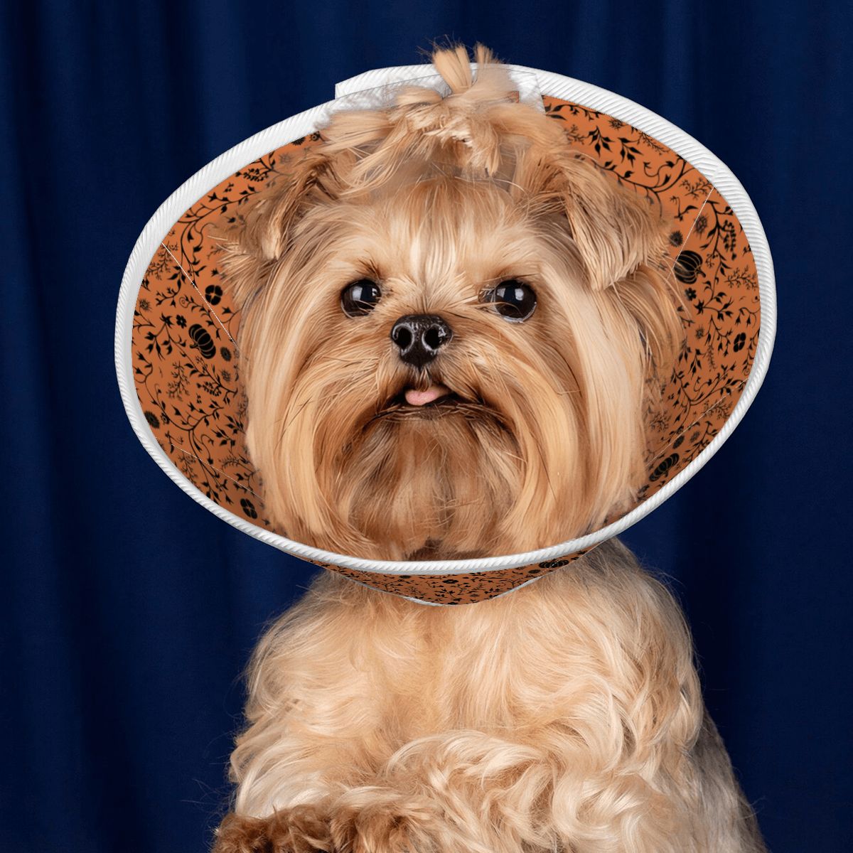 Daisy - Soft Dog Cone & Elizabethan Collar
