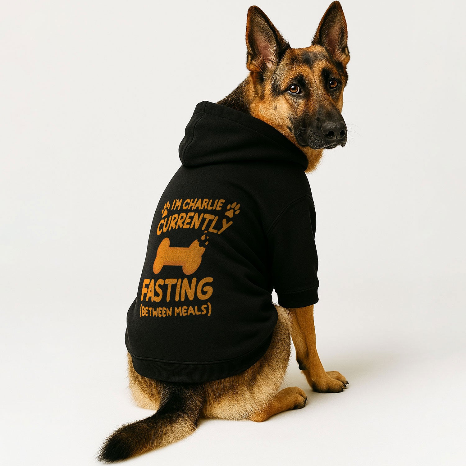 Im Charlie - currently fasting (between meals) - personalized hoodie with your dog name – dog hoodie – dog clothes