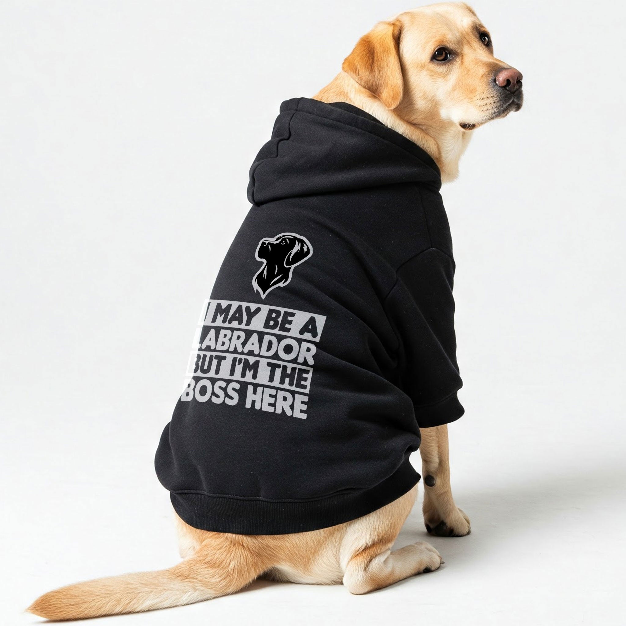 I May Be a Labrador, But I’m the Boss Here - Labrador Hoodie - Dog Clothes