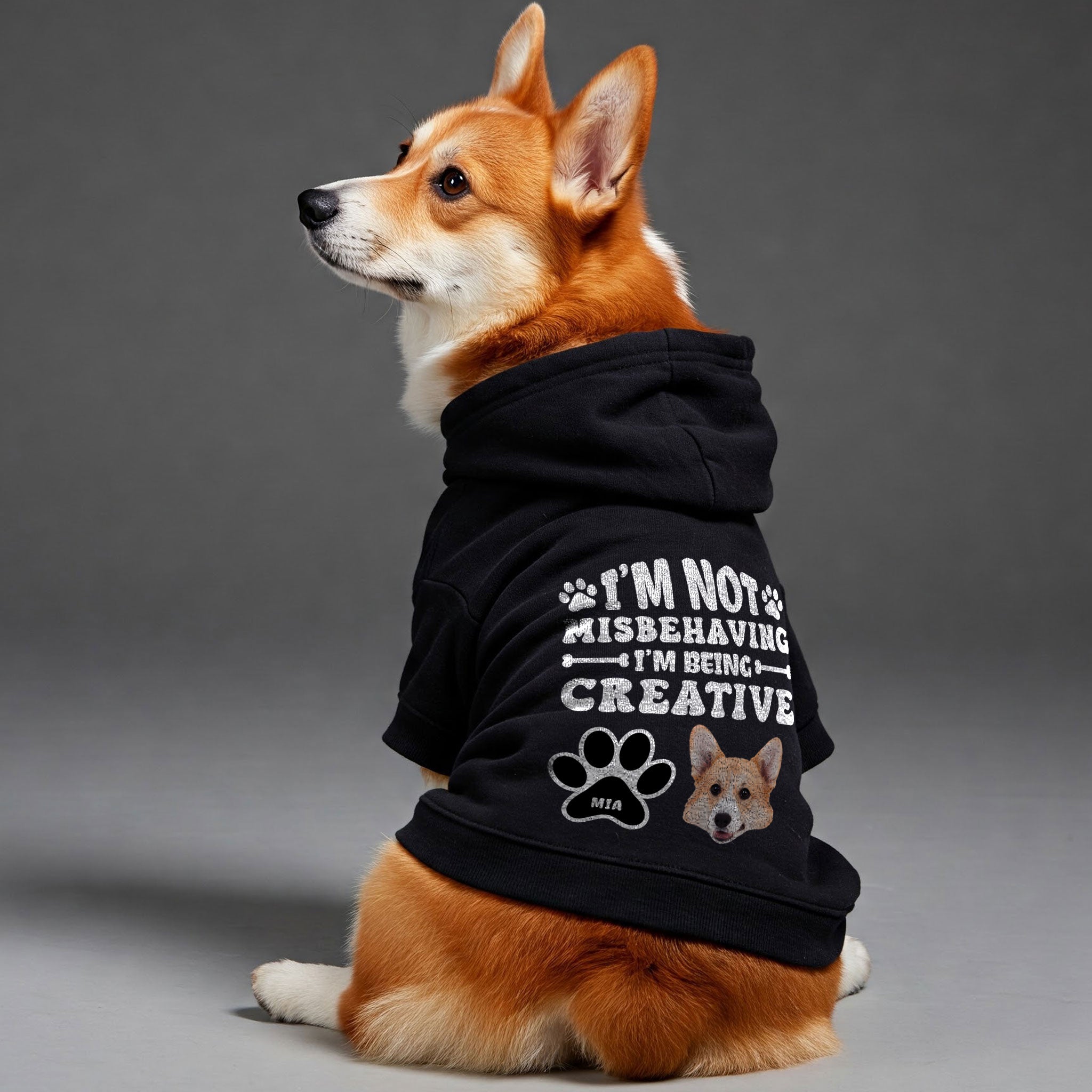 I’m not misbehaving - Personalized hoodie with your dog’s name and Face– dog hoodie – dog clothes