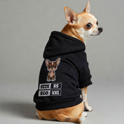 Chihuahua wearing a 'Size XS, Ego XXL' hoodie
