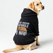 Labrador wearing a 'My Human Works, I Nap' hoodie