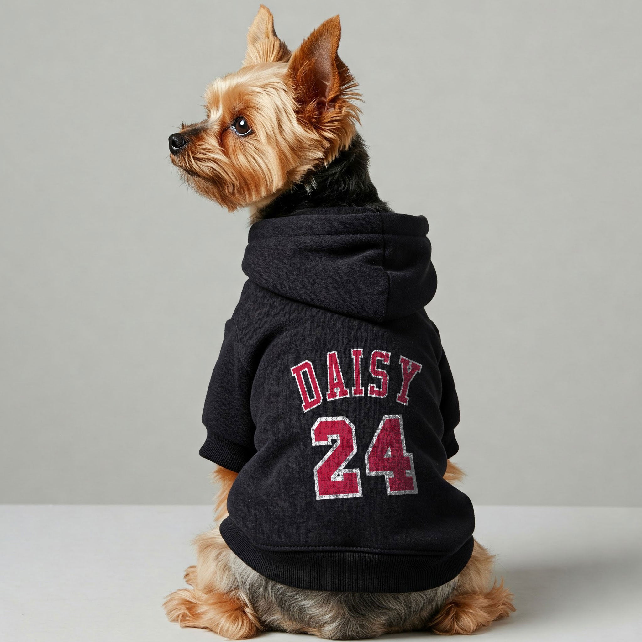 Basketball player–Personalized hoodie with your dog name and Number– dog hoodie – dog clothes