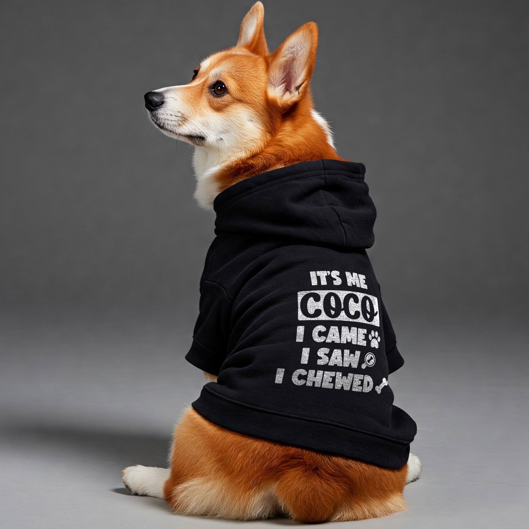 It’s me, coco. I came, I saw, I chewed- personalized hoodie with your dog name – dog hoodie – dog clothes
