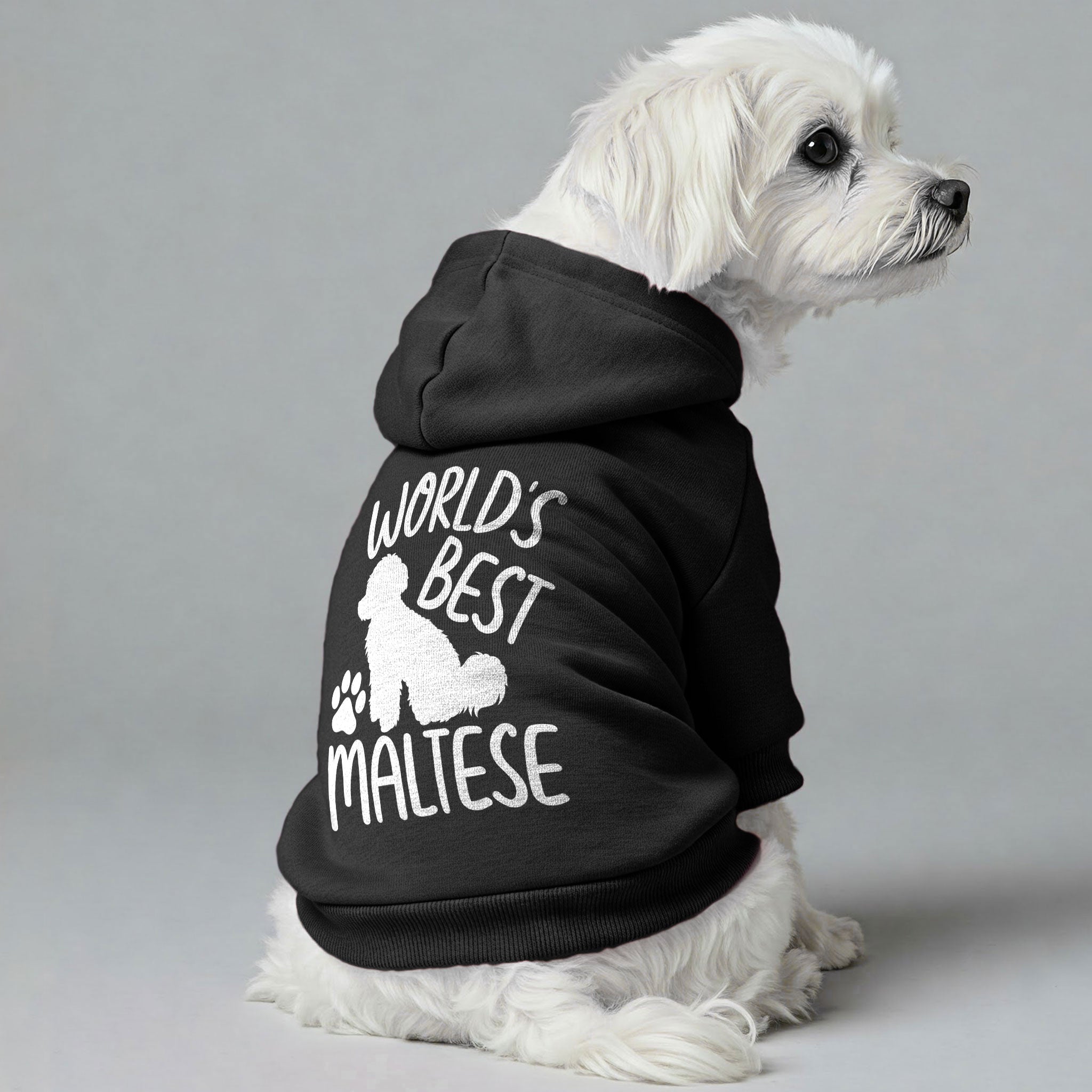 WORLD’S BEST MALTESE - Maltese Dog Hoodie