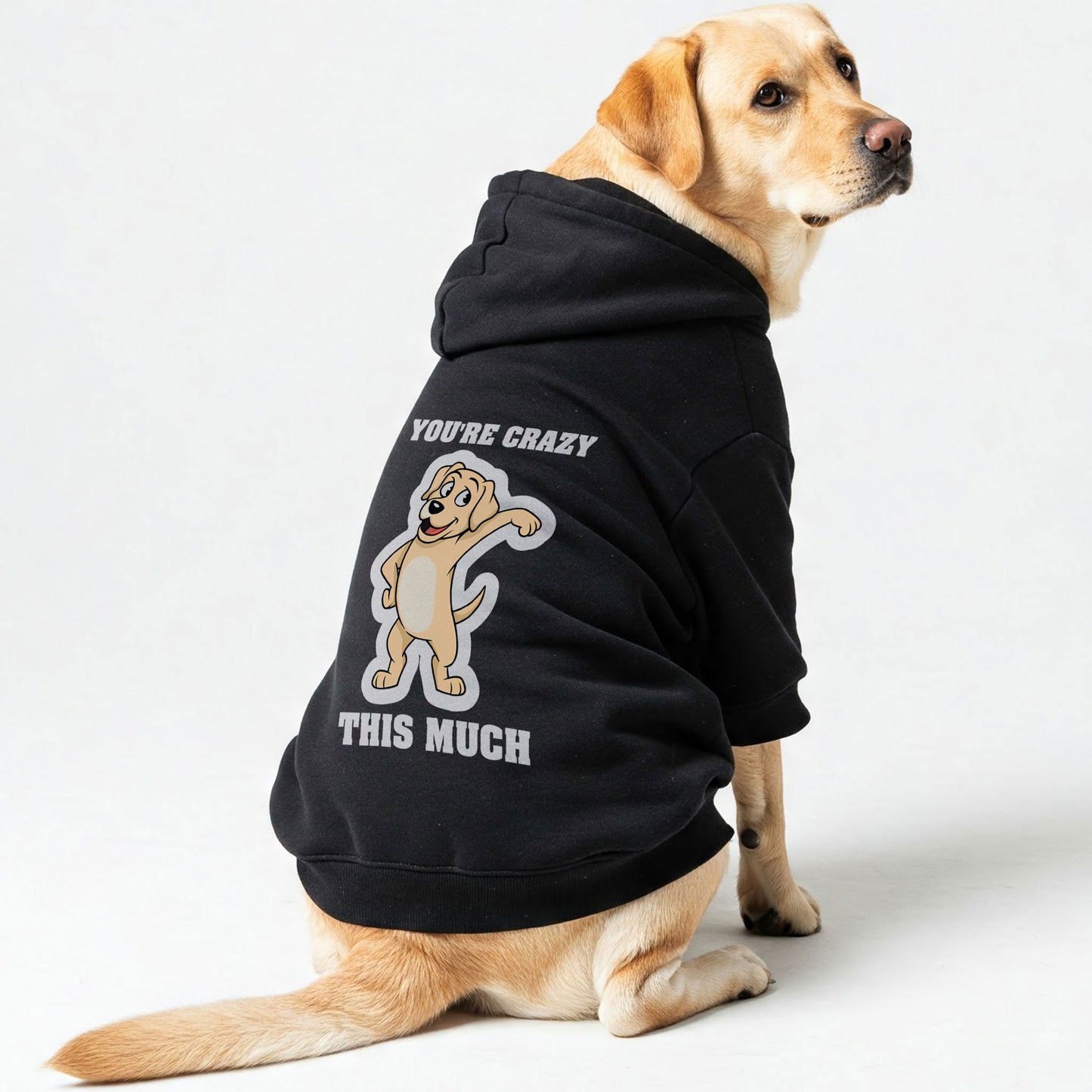 Youre crazy this much - Labrador Hoodie - Dog Clothes